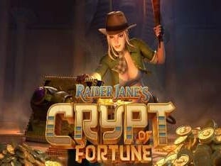 Raider Janes Crypt Of Fortune game icon